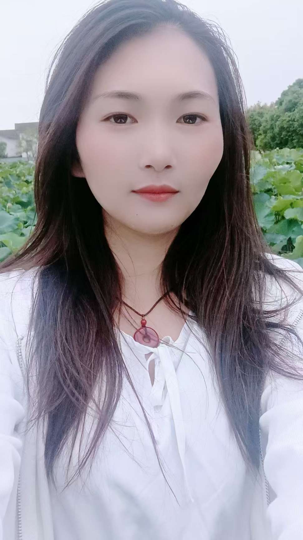 寻找失联的女朋友 - 李维仙